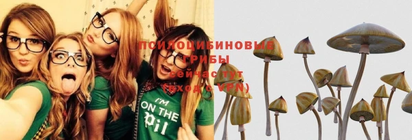 дживик Новокубанск