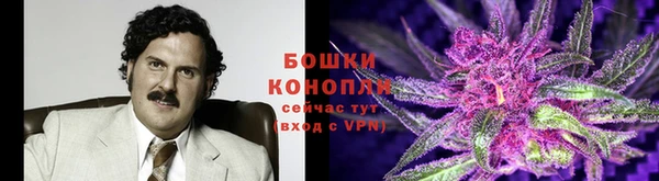 дистиллят марихуана Новозыбков