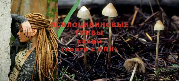 дистиллят марихуана Новозыбков
