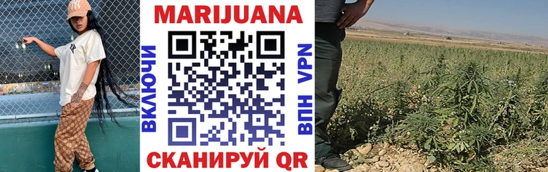 Бошки марихуана Ganja Александровск-Сахалинский